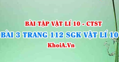 Bài 3 trang 112 SGK Vật lí 10 Chân trời sáng tạo